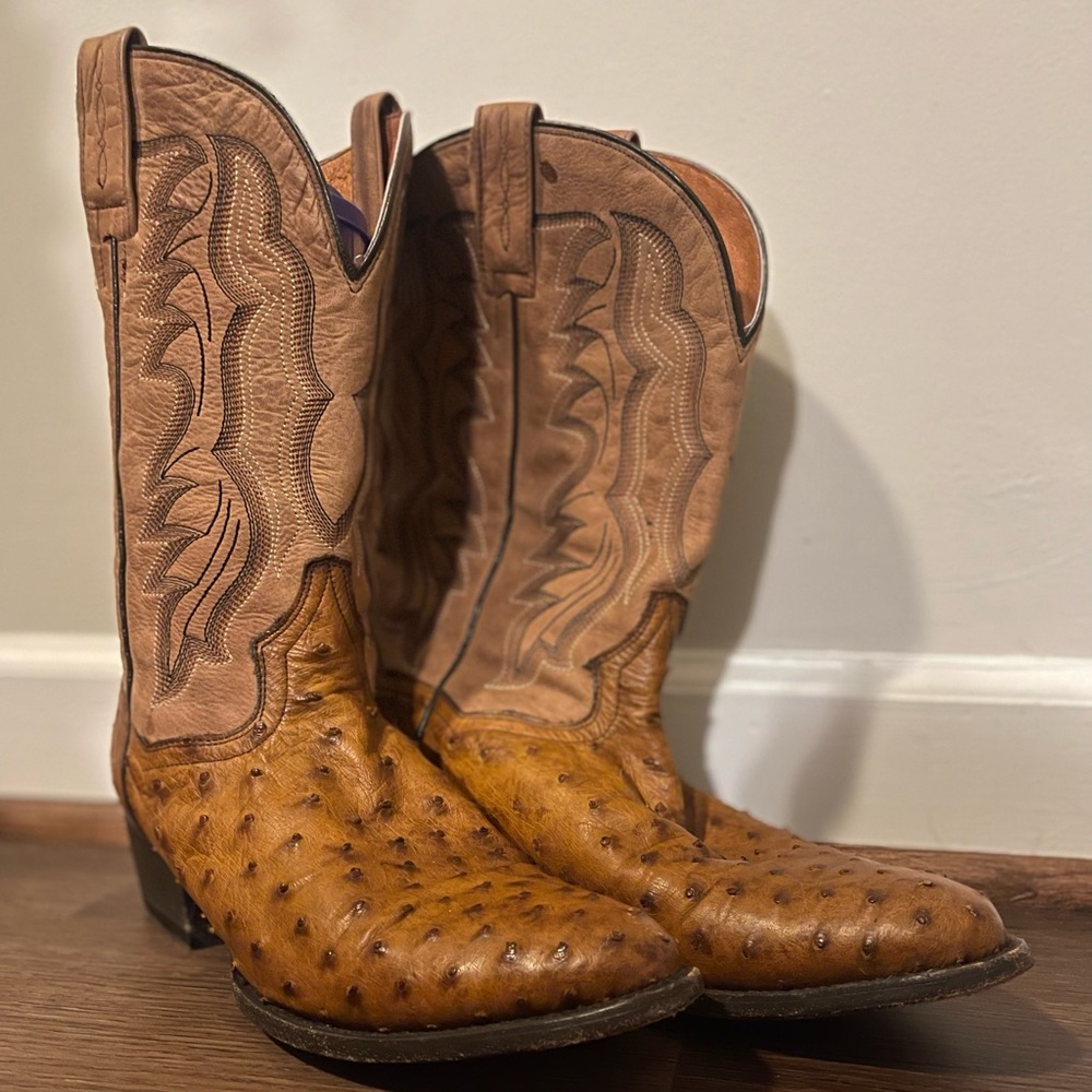 Dan Post Ostrich Tempe Boots